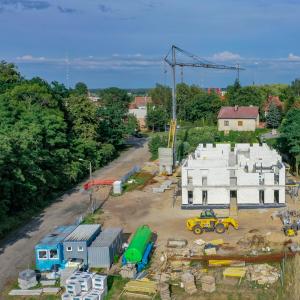 Zielona 2.0 rośnie w oczach! | lipiec 2024